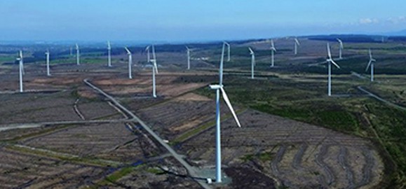 wind farm aerial surveys